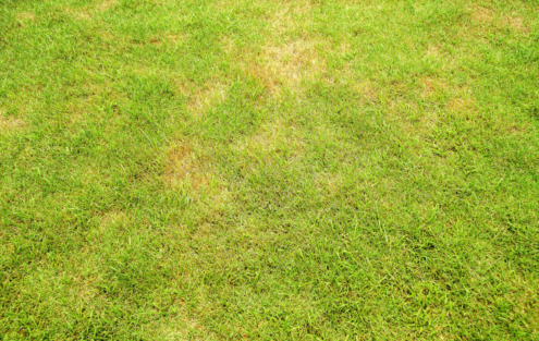 Oppo Headquarters in china 3D model_18