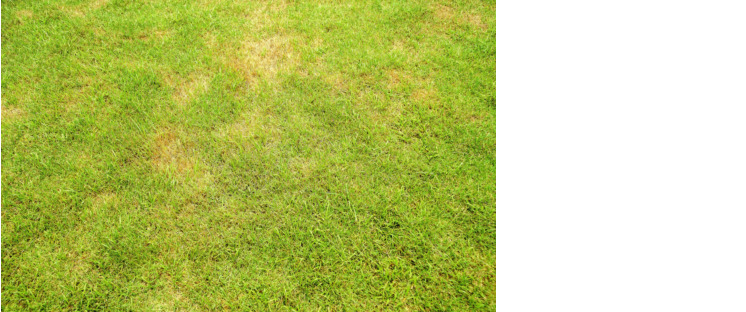 Oppo Headquarters in china 3D model_21