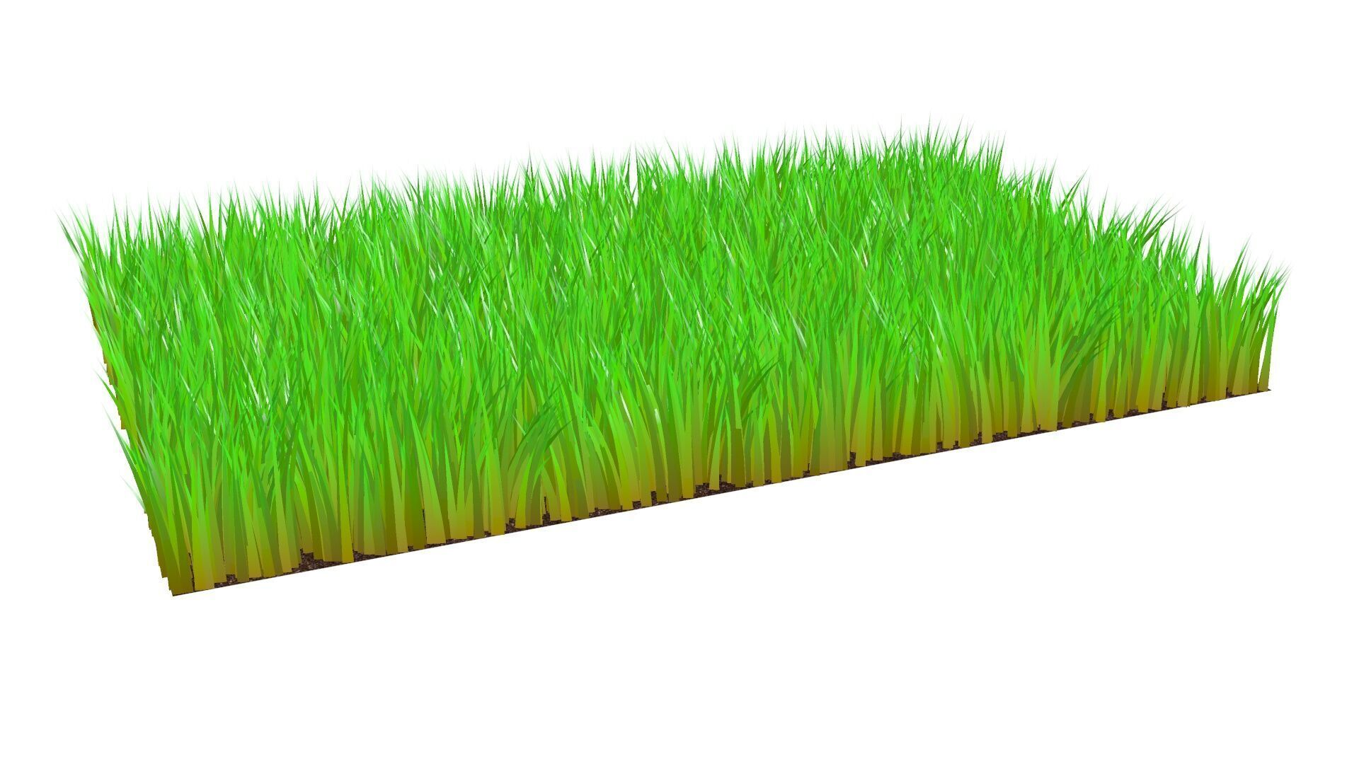 Grass 3D model_3
