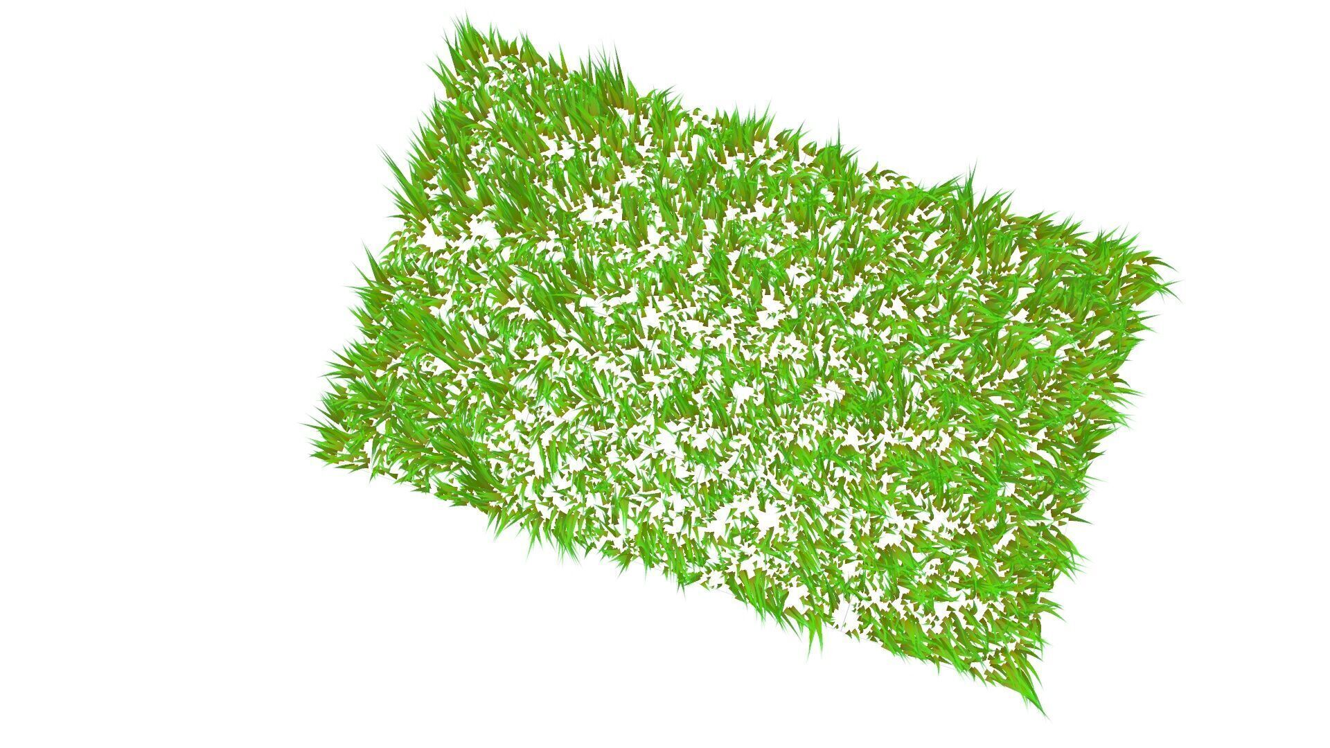 Grass 3D model_8