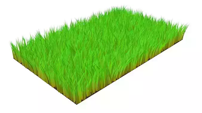 Grass