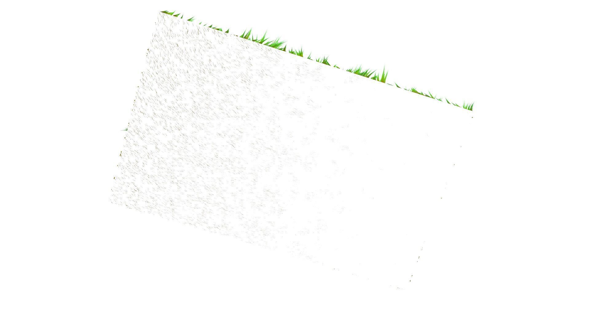 Grass 3D model_5