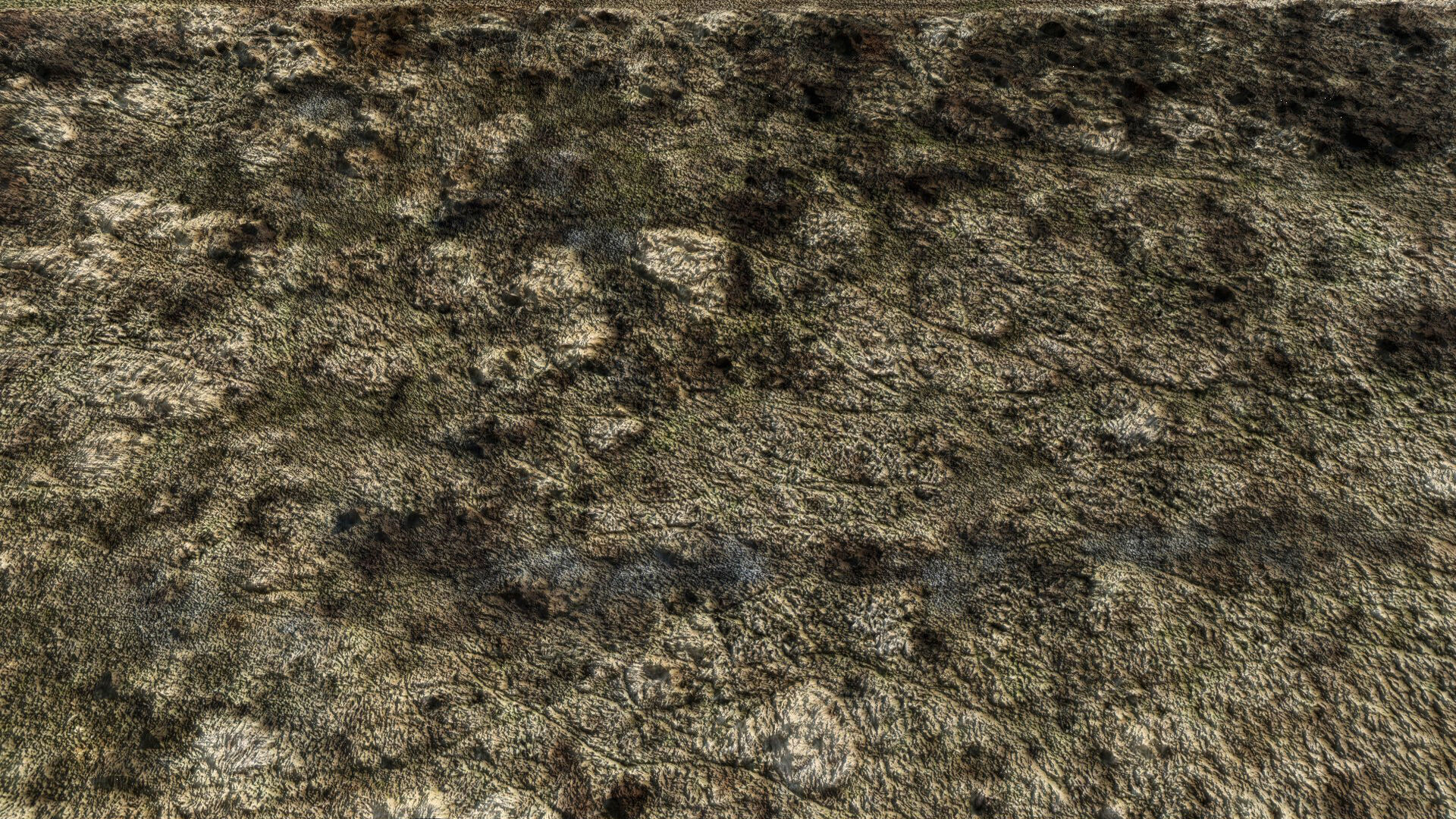 landscape plants bushes field large area part2 drone scan Low-poly 3D model_2