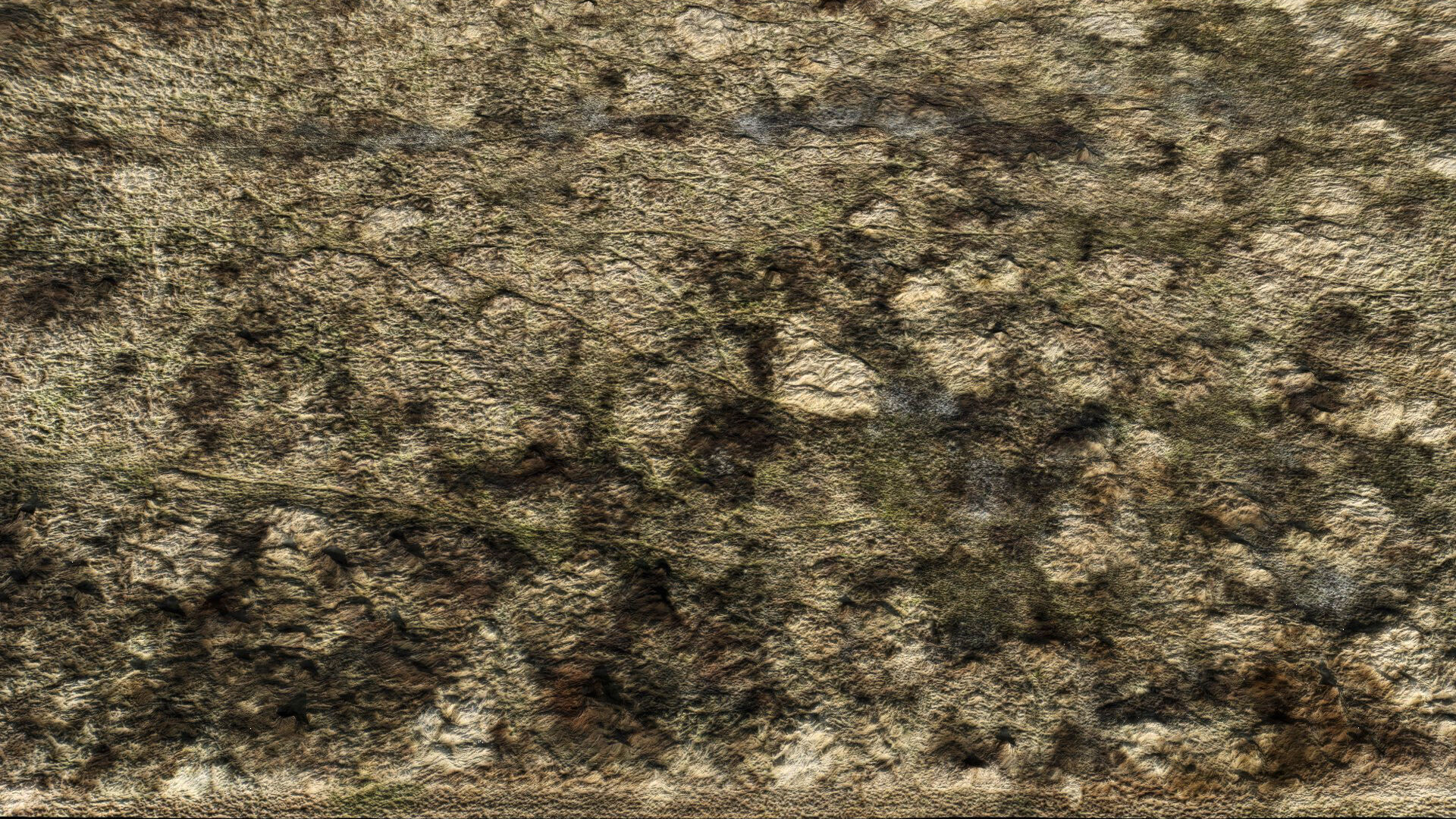 landscape plants bushes field large area part2 drone scan Low-poly 3D model_4