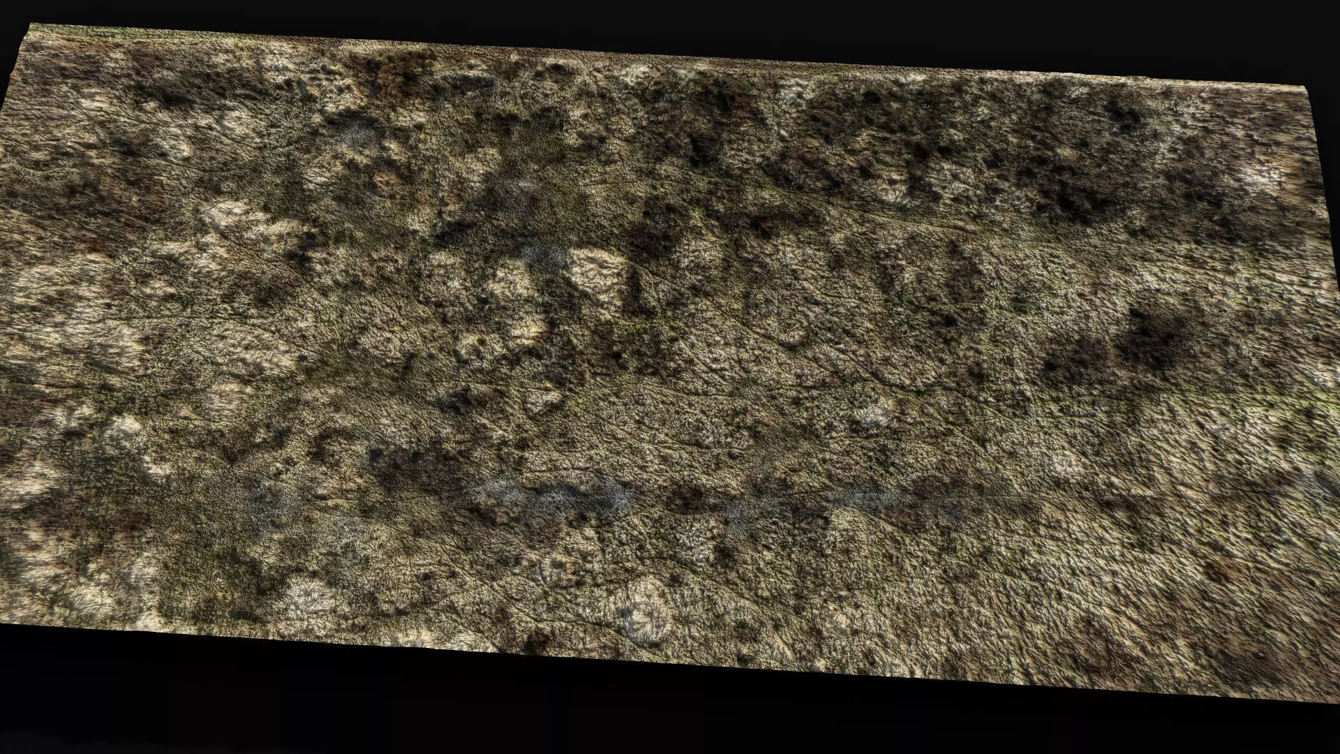 landscape plants bushes field large area part2 drone scan Low-poly 3D model_0