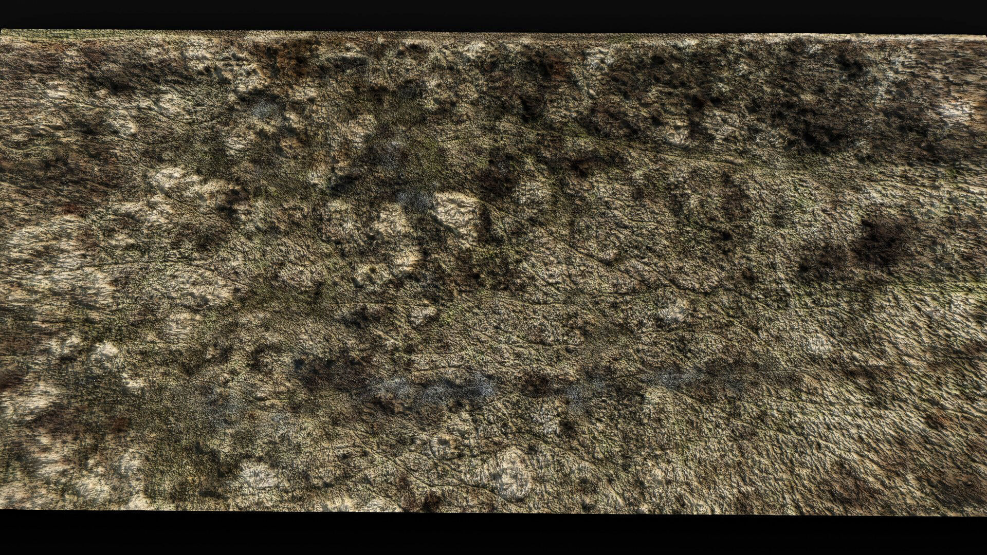 landscape plants bushes field large area part2 drone scan Low-poly 3D model_1