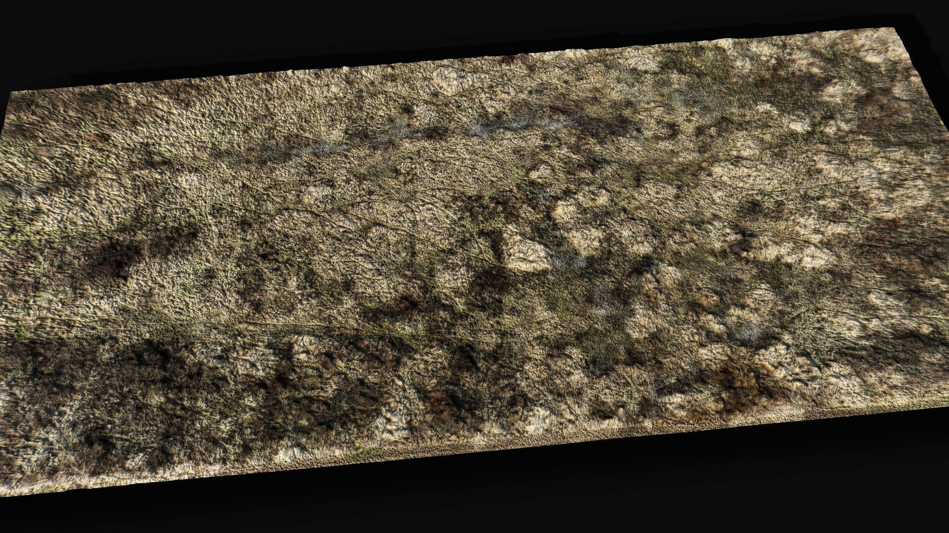 landscape plants bushes field large area part2 drone scan Low-poly 3D model_3