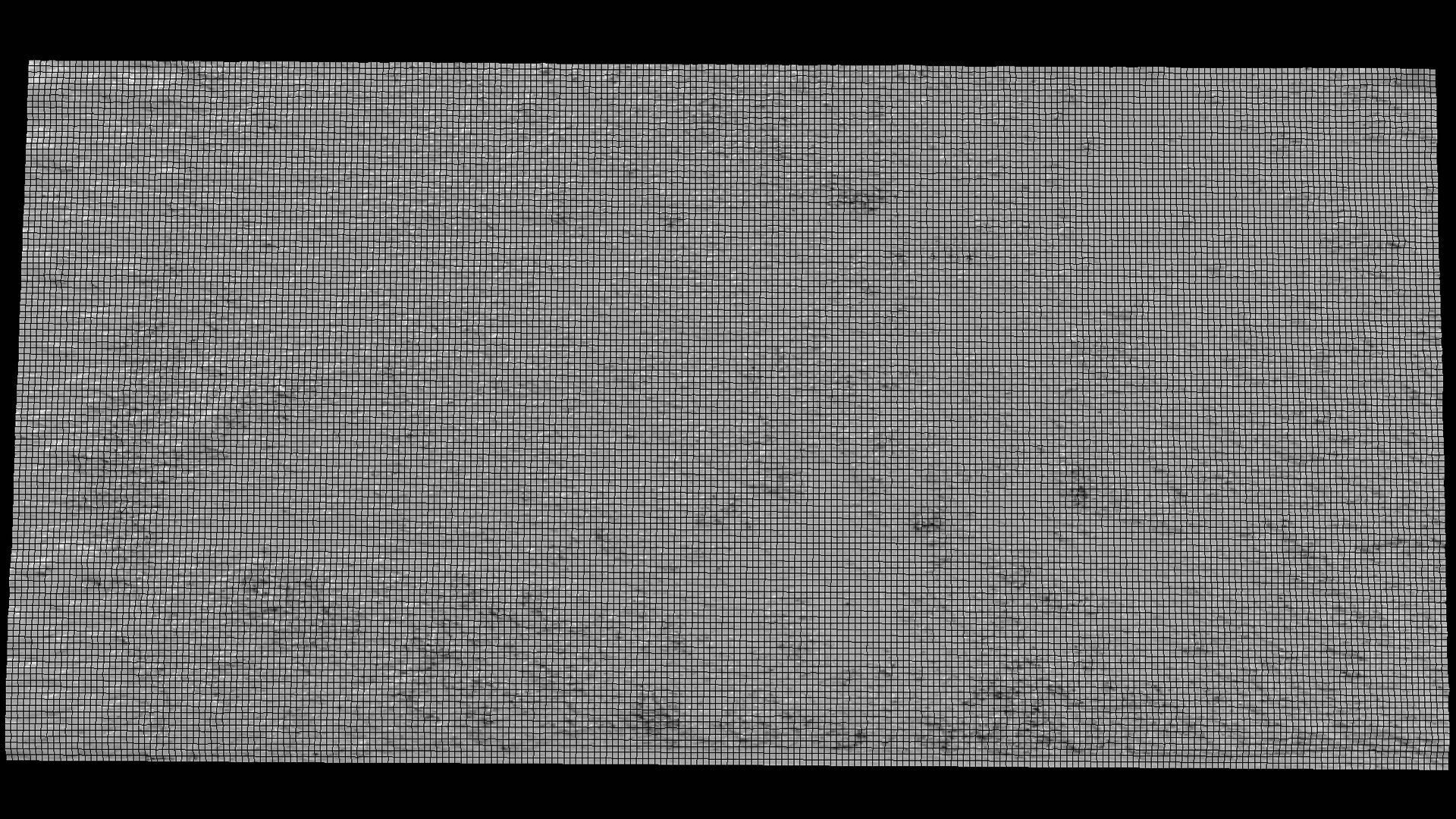 landscape plants bushes field large area part2 drone scan Low-poly 3D model_7