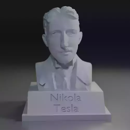 Bust Nikola Tesla 3D print model