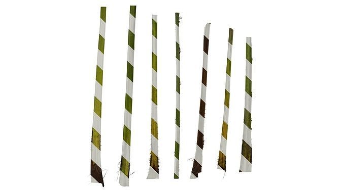 Anydrafts Trachycarpus fortunei Petiole 02 F Texture