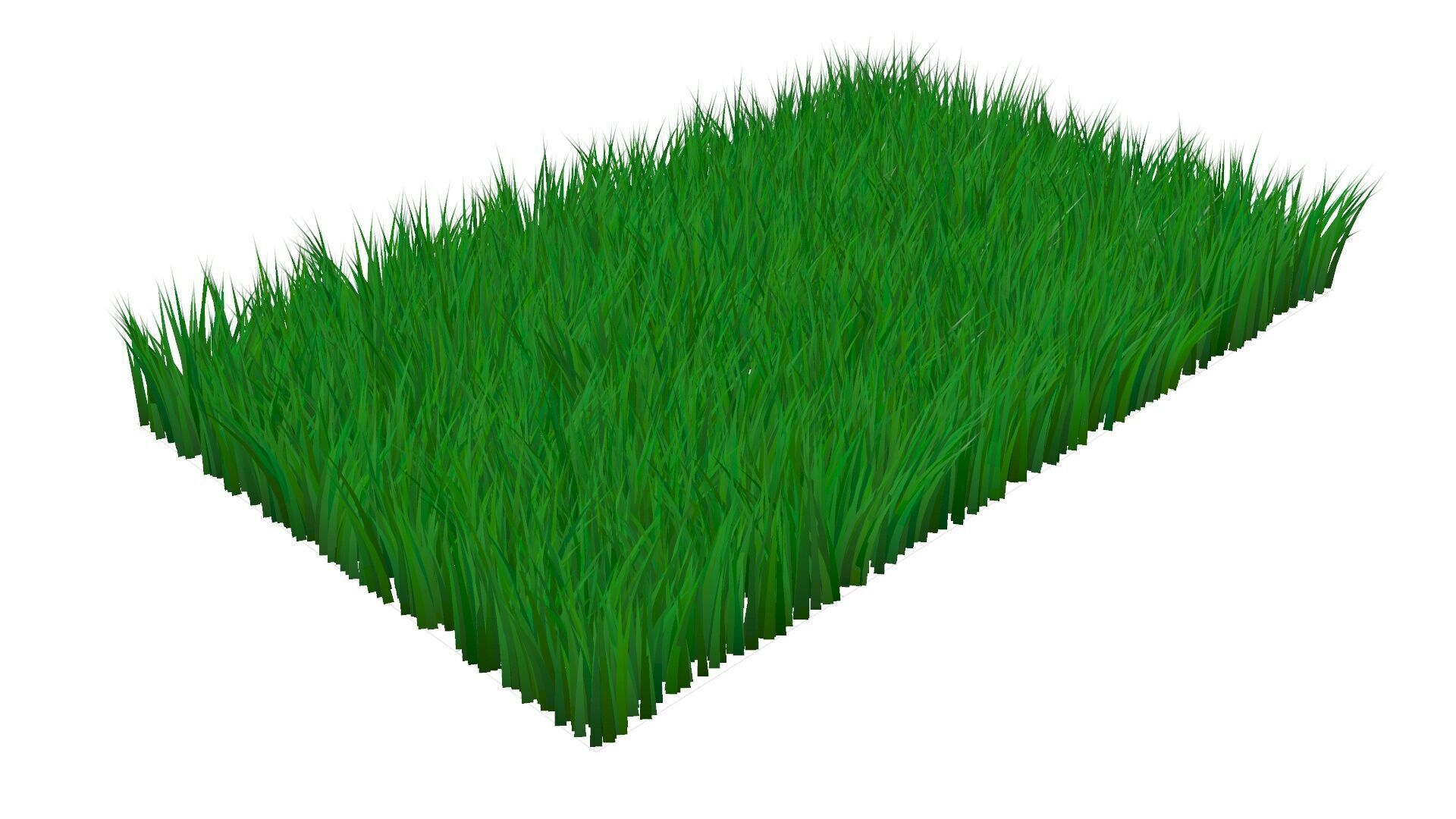 Grass 3D model_7