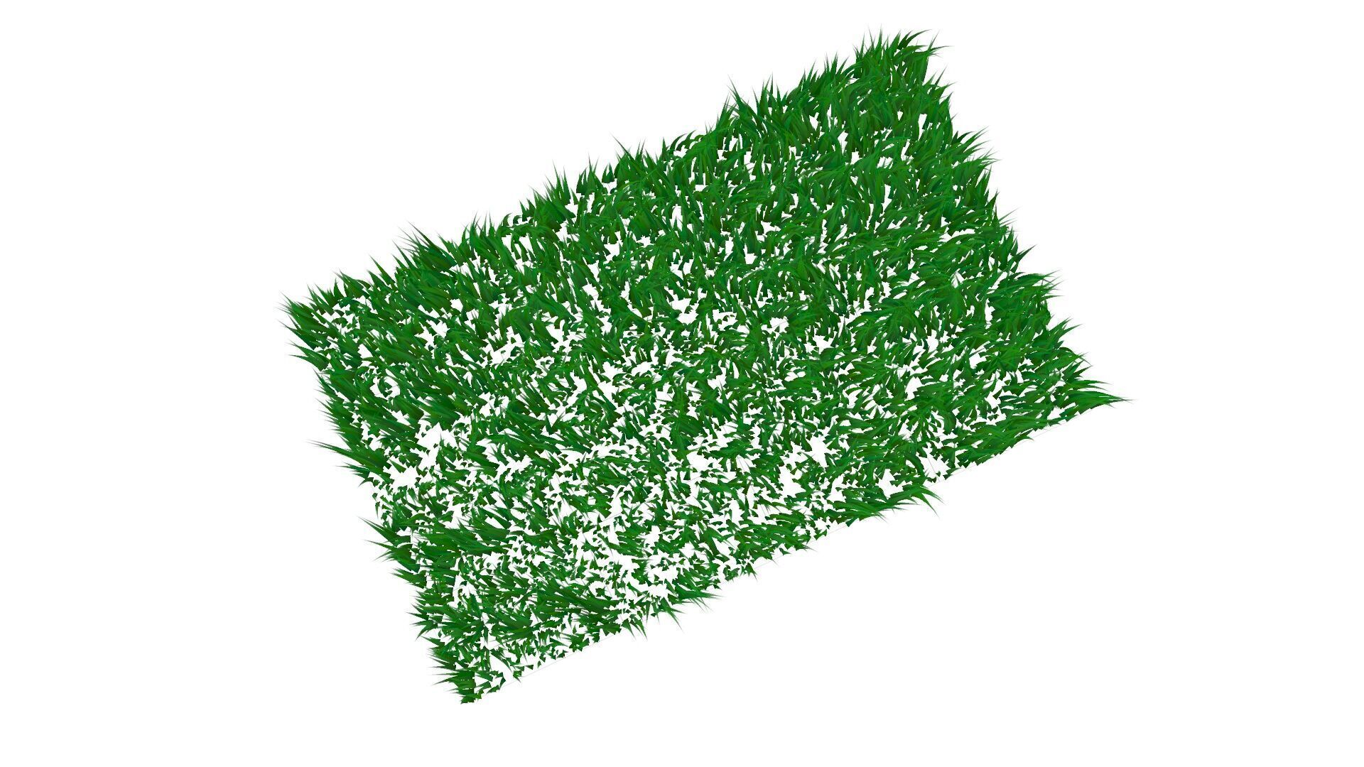 Grass 3D model_8