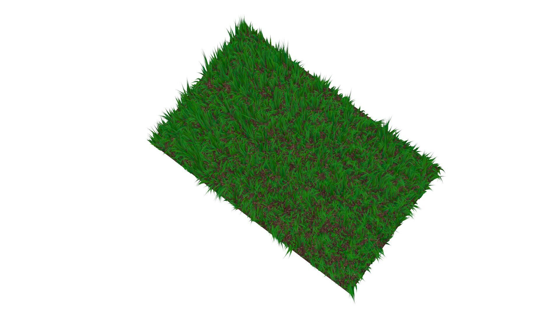 Grass 3D model_1