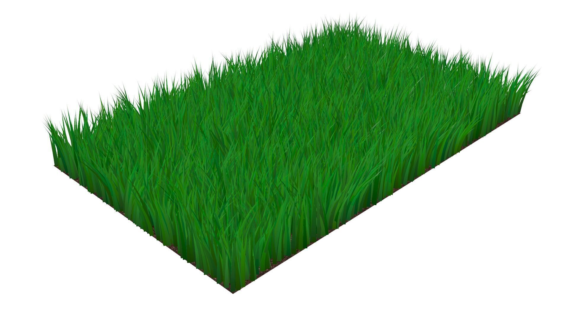Grass 3D model_6