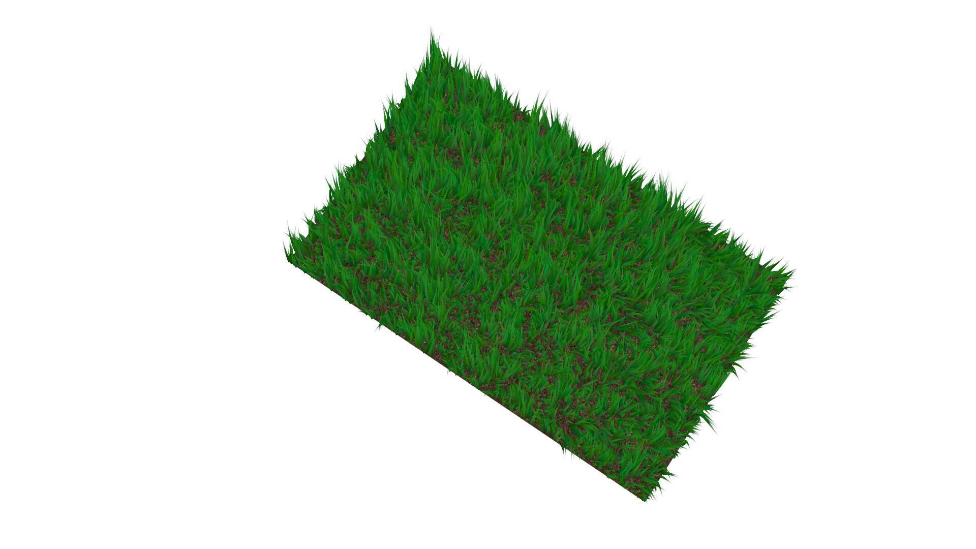 Grass 3D model_3