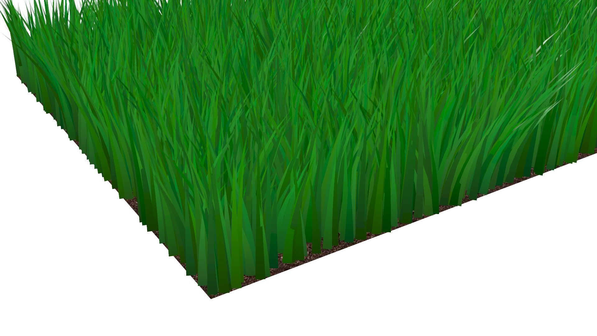 Grass 3D model_5