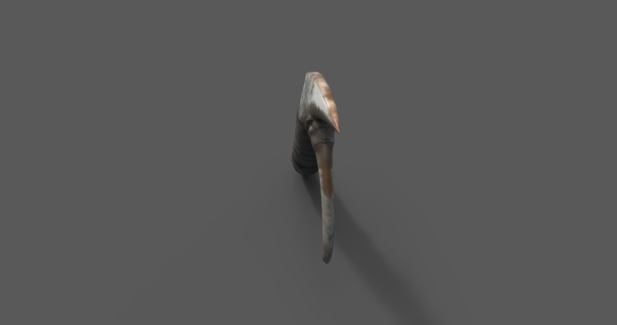 Stylized Bone Hook Game Ready 3D Asset Low-poly 3D model_13