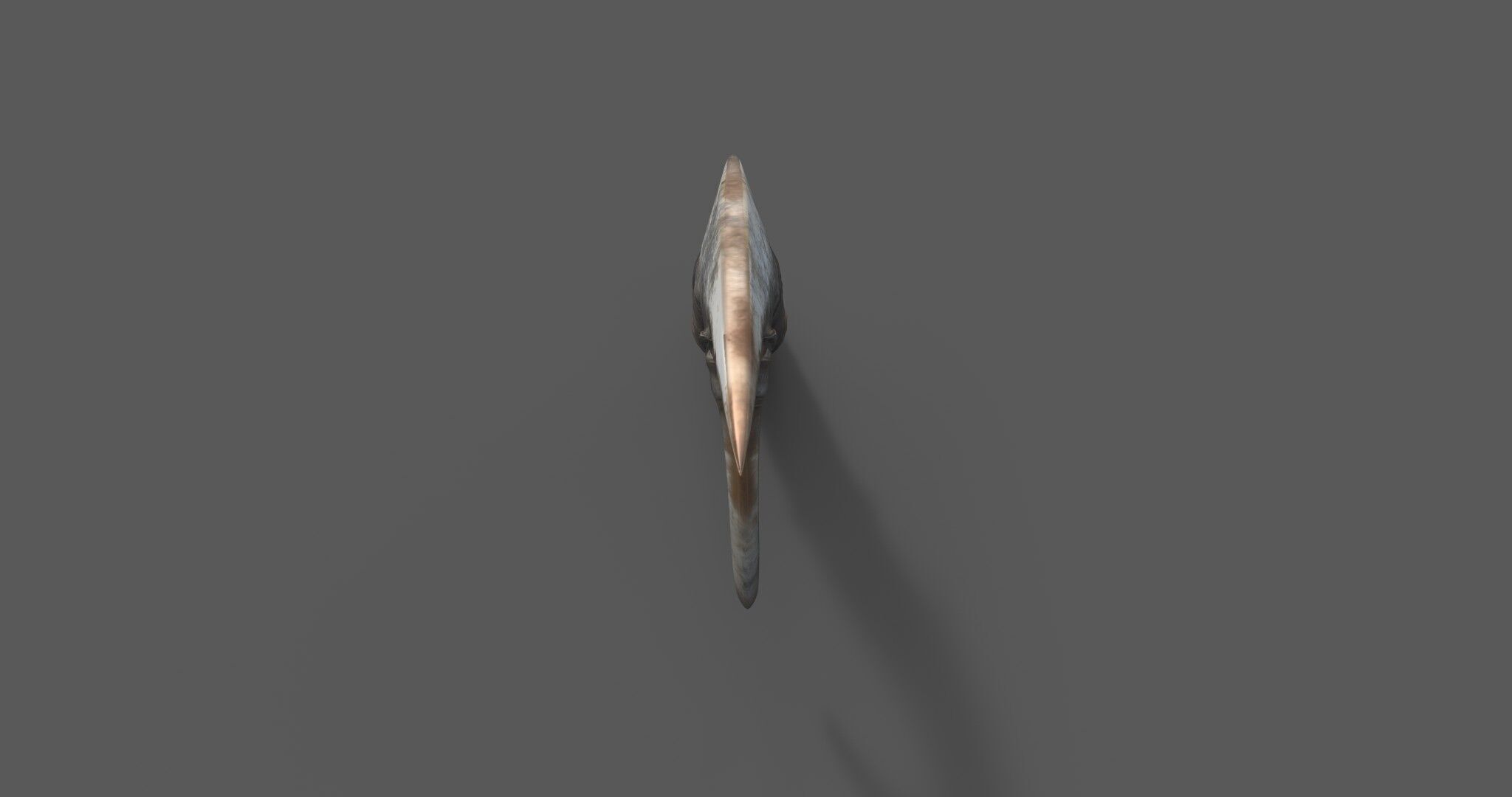 Stylized Bone Hook Game Ready 3D Asset Low-poly 3D model_14