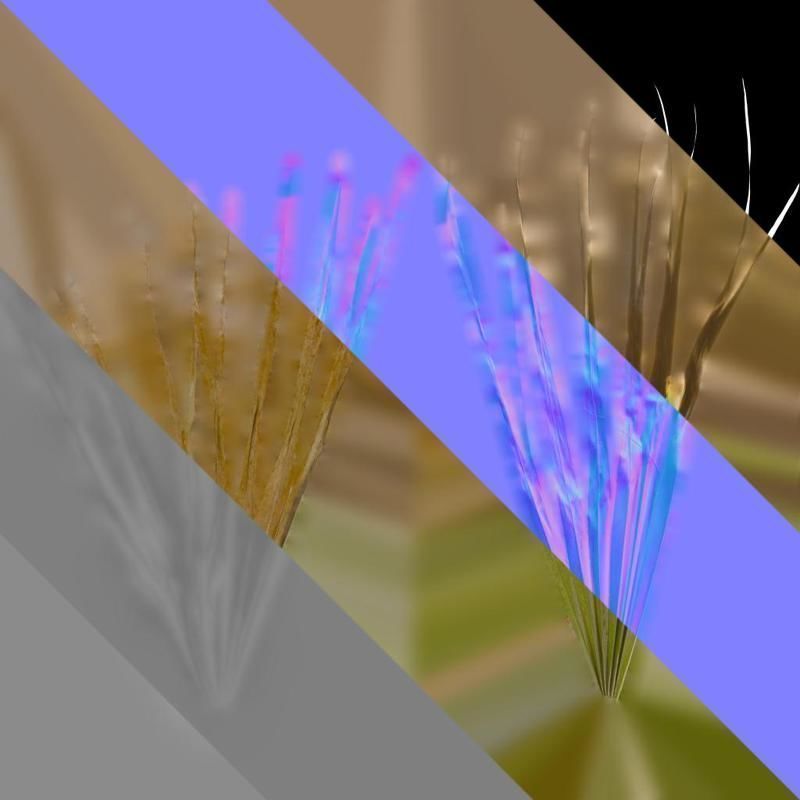 Anydrafts Washingtonia filifera Leaf 13 Texture_9