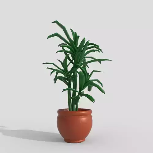 pot plant dracena Low-poly 3D model