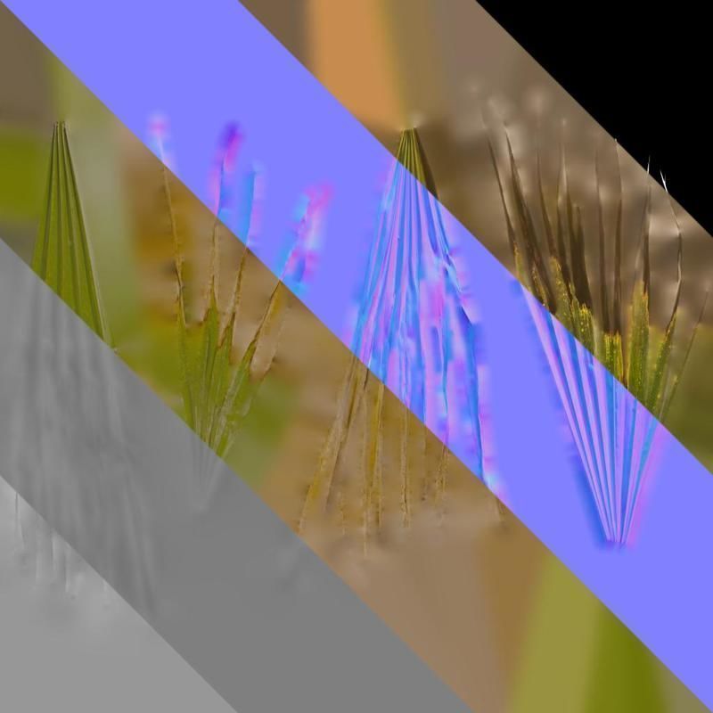 Anydrafts Washingtonia filifera Leaf 16 Texture_9