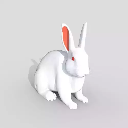 Rabbit 