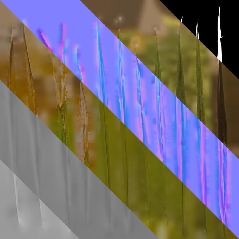 Anydrafts Washingtonia filifera Leaf 20 Texture_9