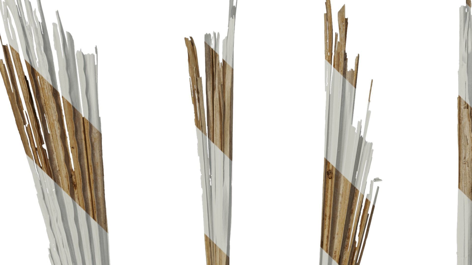 Anydrafts Washingtonia filifera Leaf 26 Texture_2