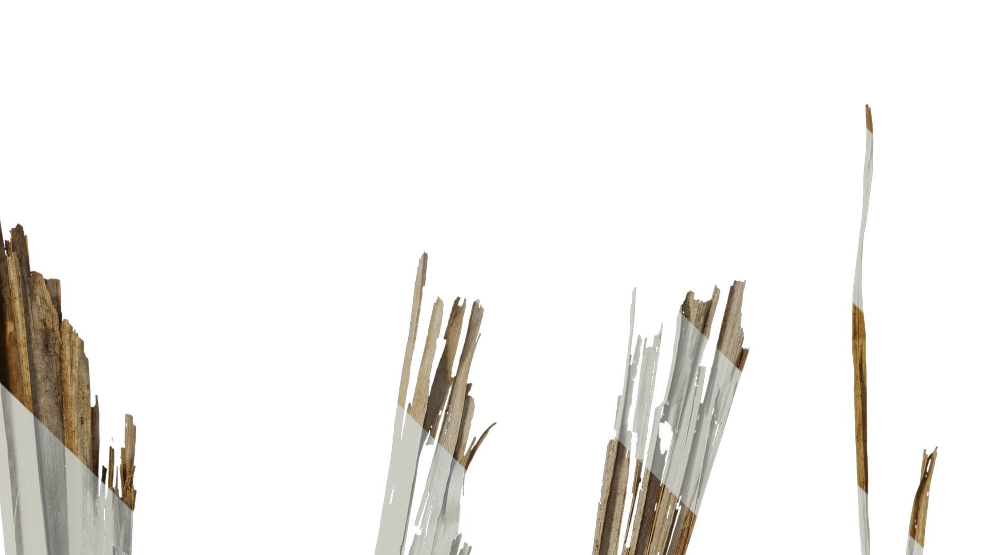 Anydrafts Washingtonia filifera Leaf 26 Texture_6