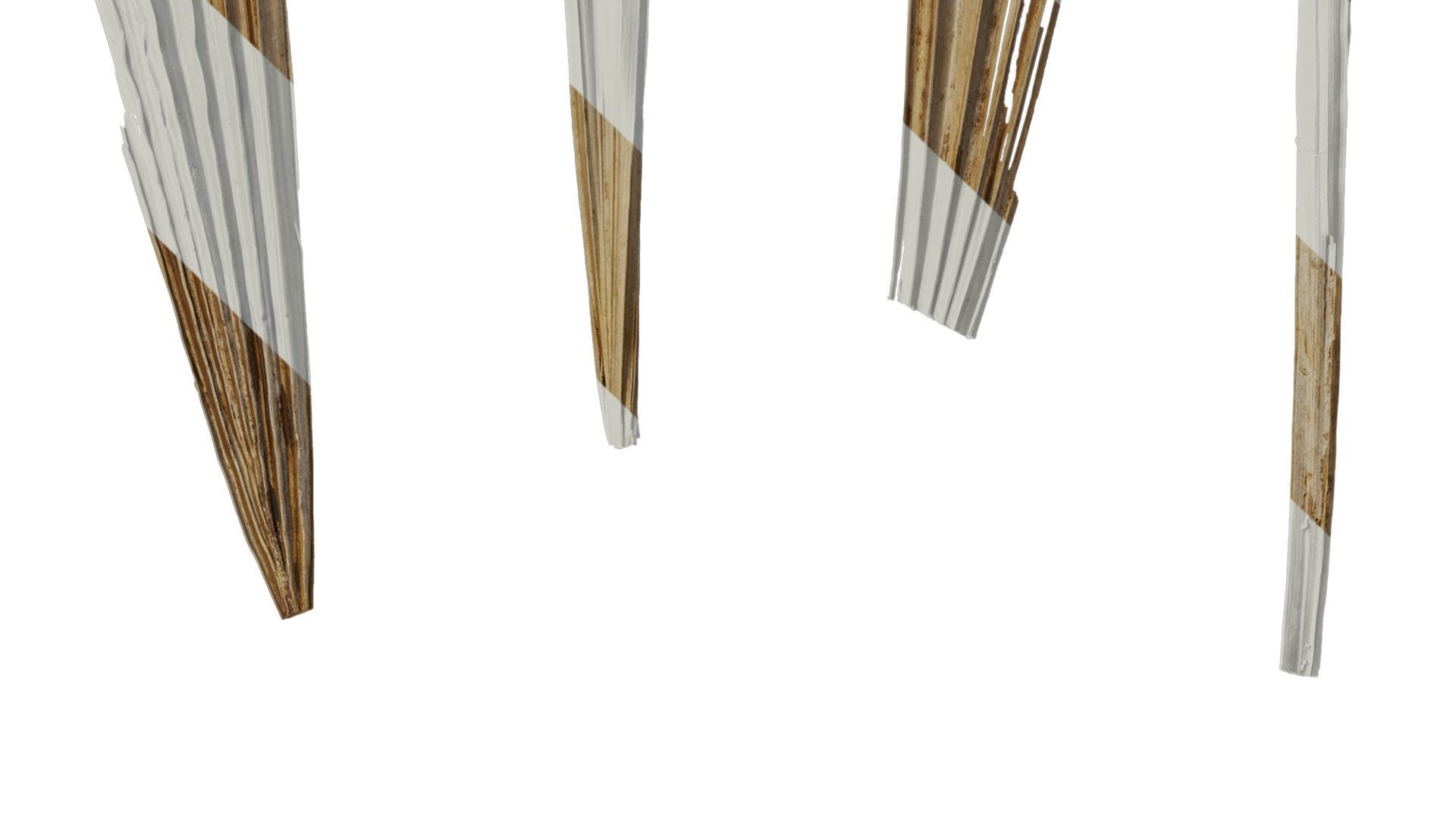 Anydrafts Washingtonia filifera Leaf 26 Texture_4