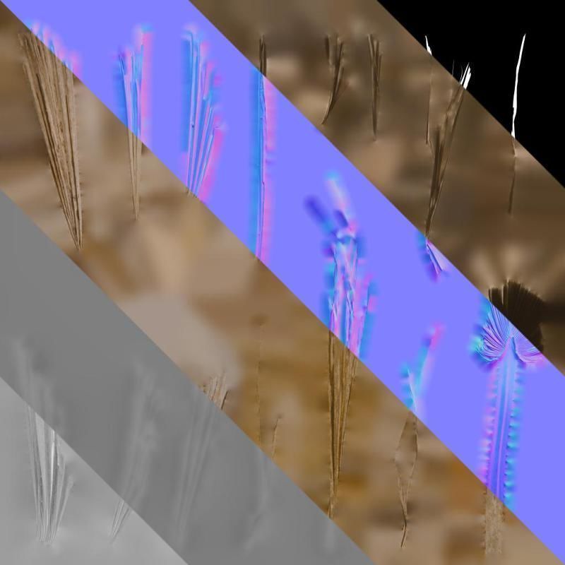 Anydrafts Washingtonia filifera Leaf 26 Texture_9