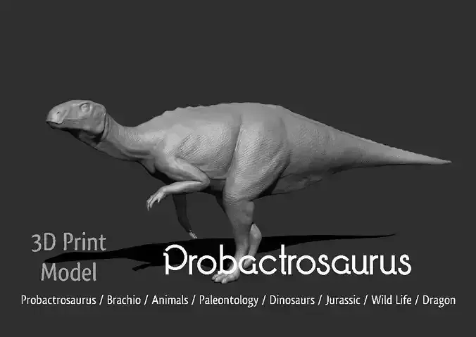 Probactrosaurus 