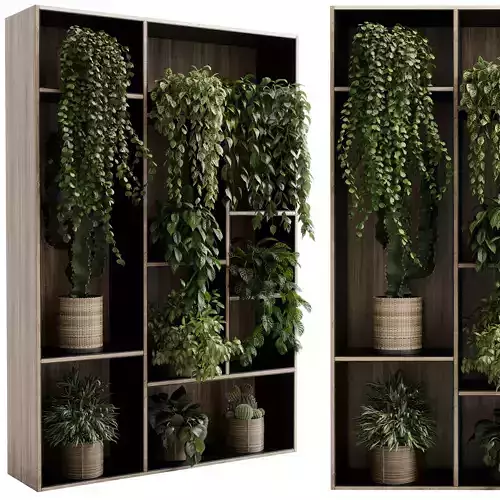 Standing metal shelf with a set of plants in wooden boxes 596