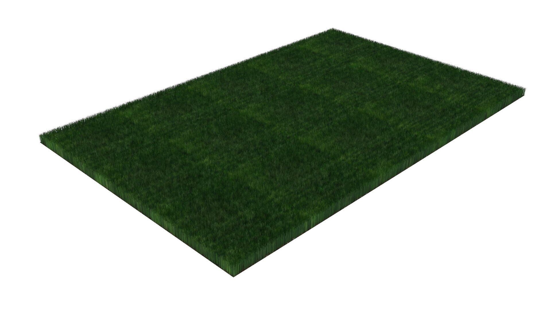 Grass With Growing Animation 3D model_2