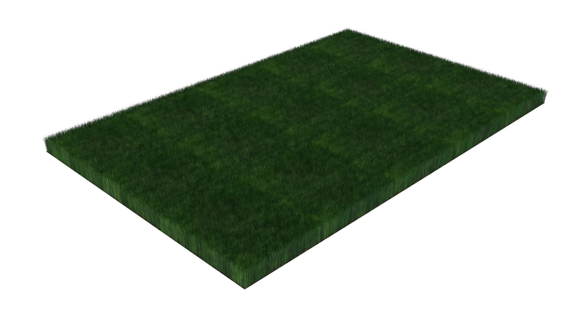 Grass With Growing Animation 3D model_10