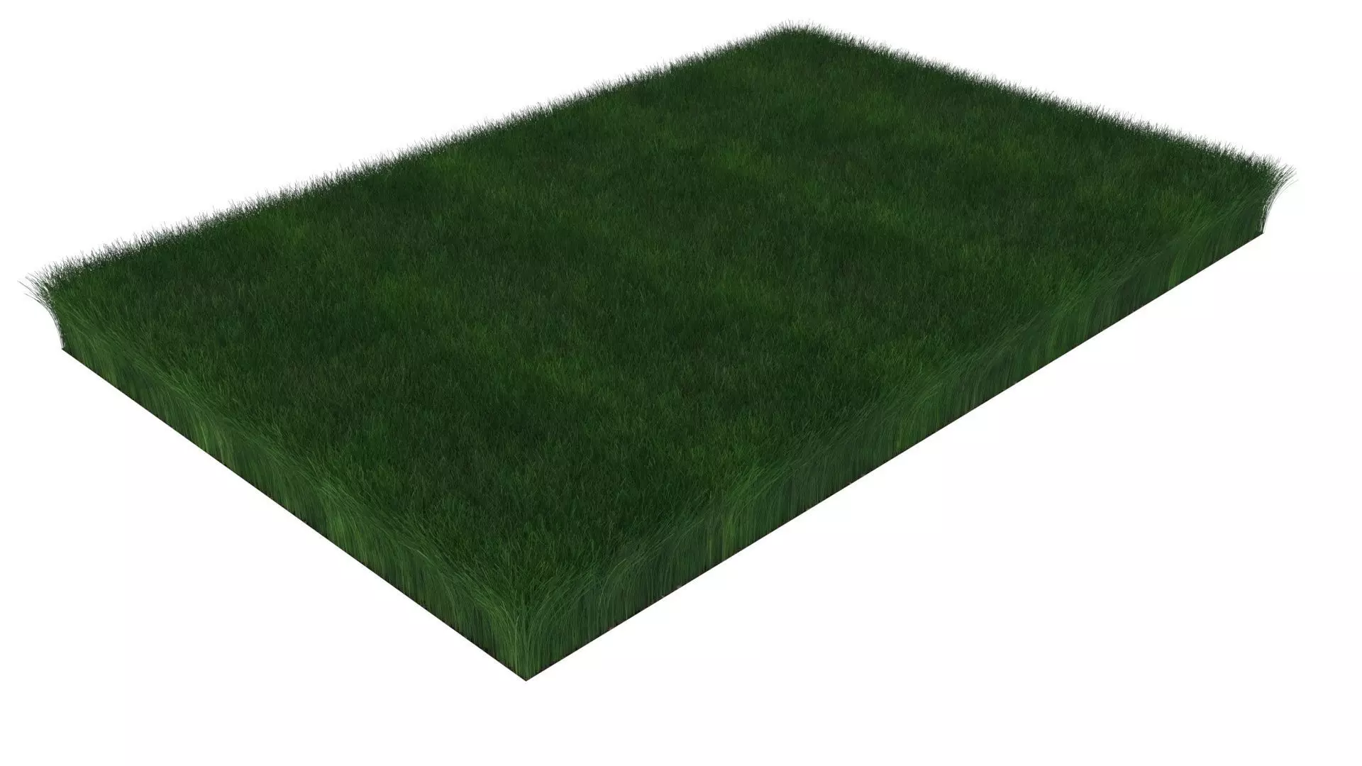 Grass With Growing Animation 3D model_0