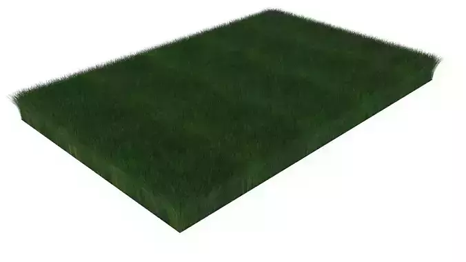 Grass With Growing Animation 3D model