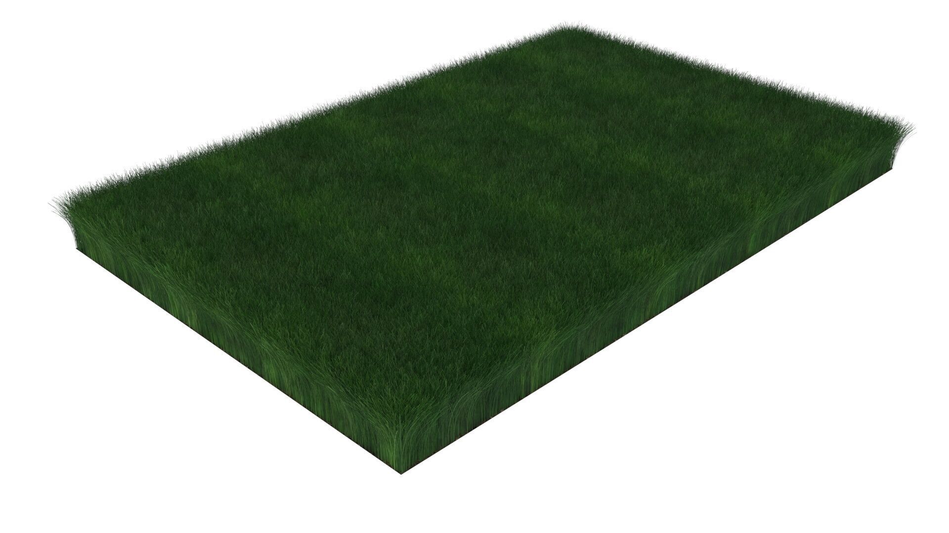 Grass With Growing Animation 3D model_11