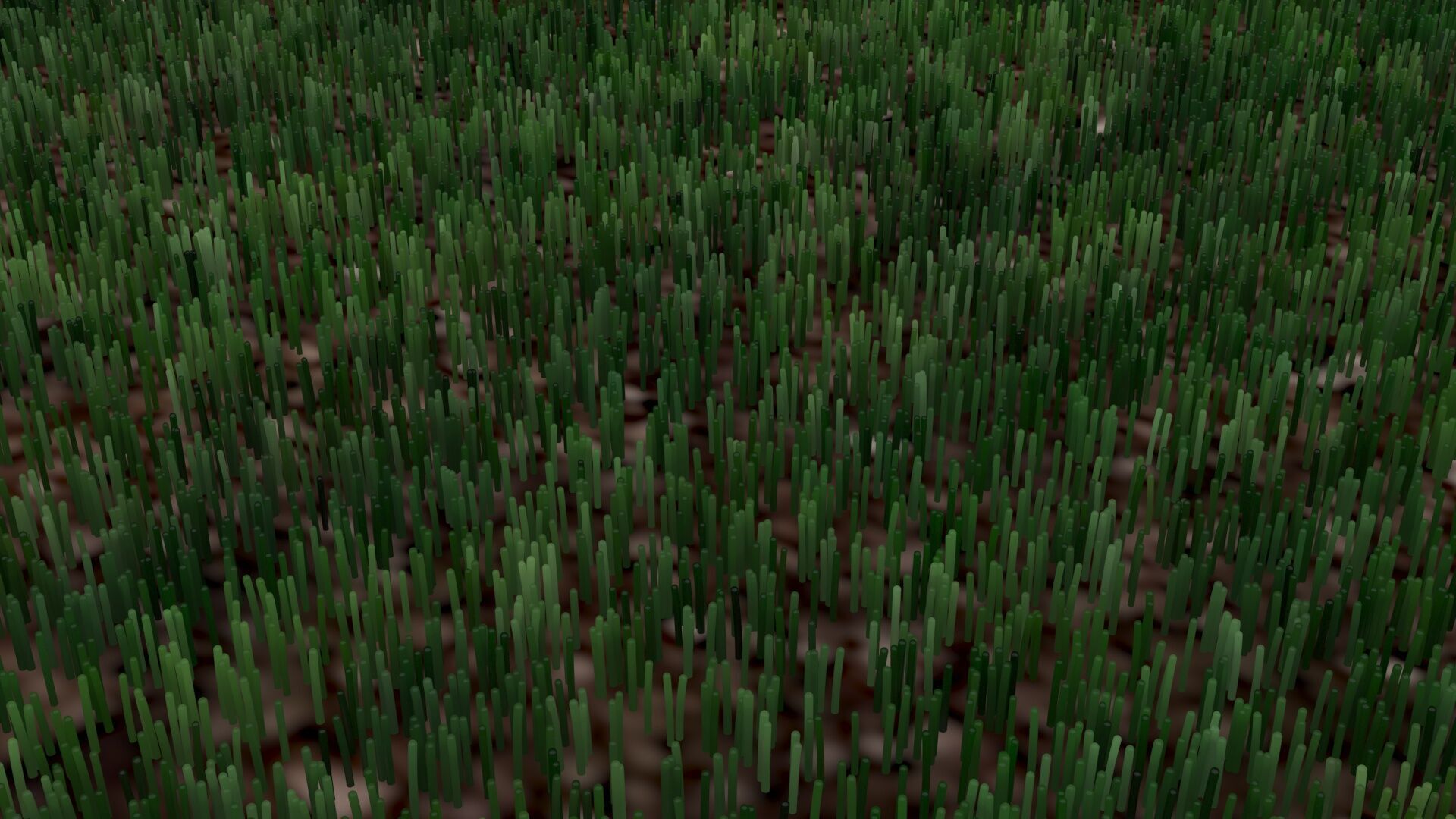 Grass With Growing Animation 3D model_5