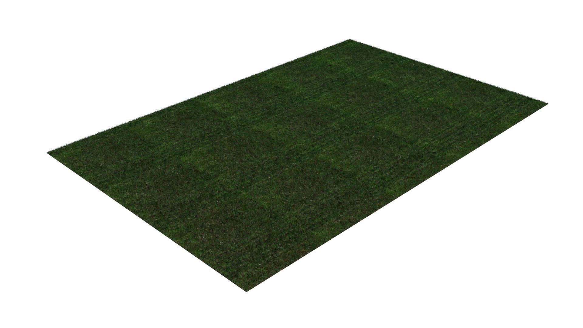 Grass With Growing Animation 3D model_12