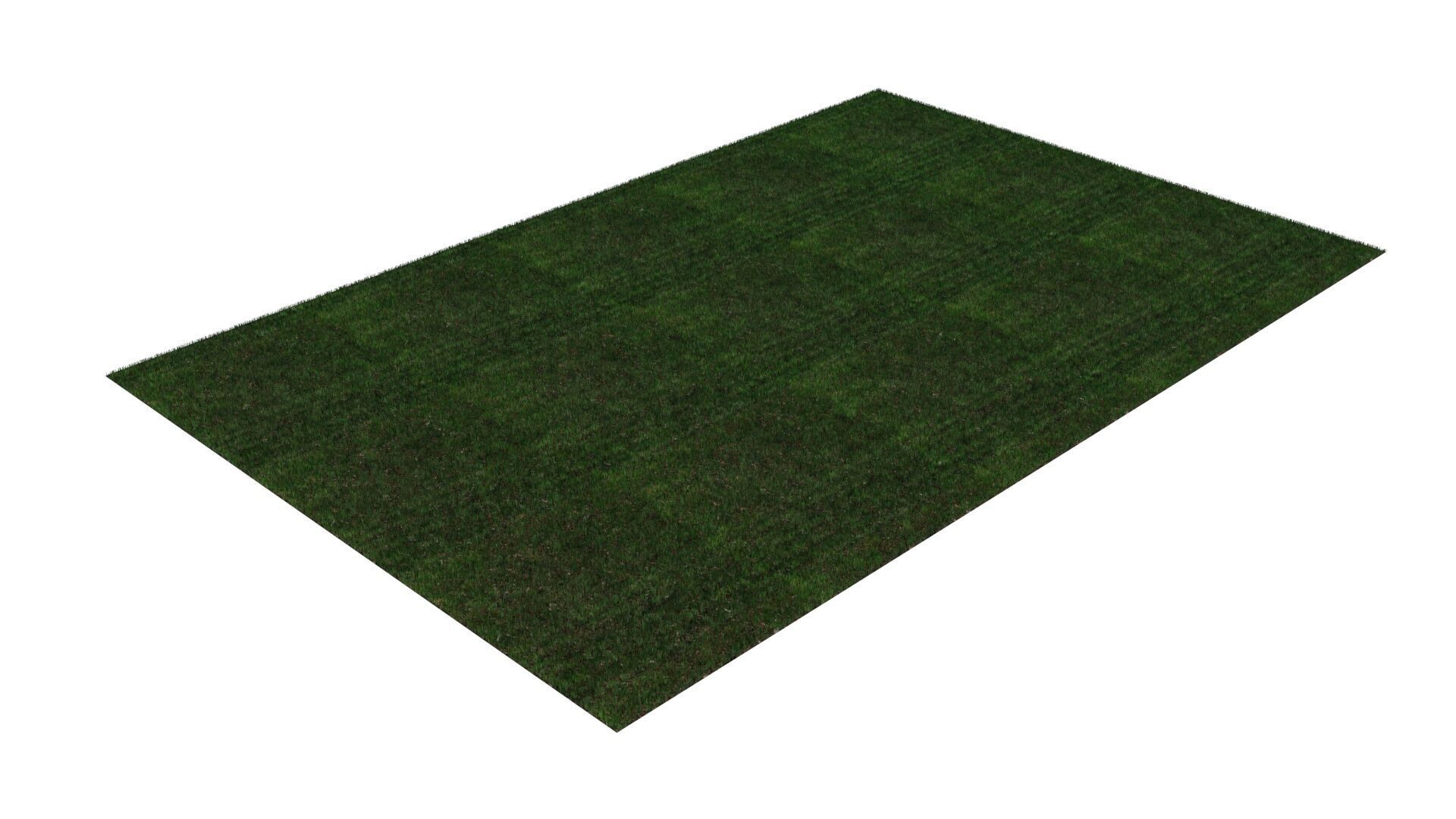 Grass With Growing Animation 3D model_1