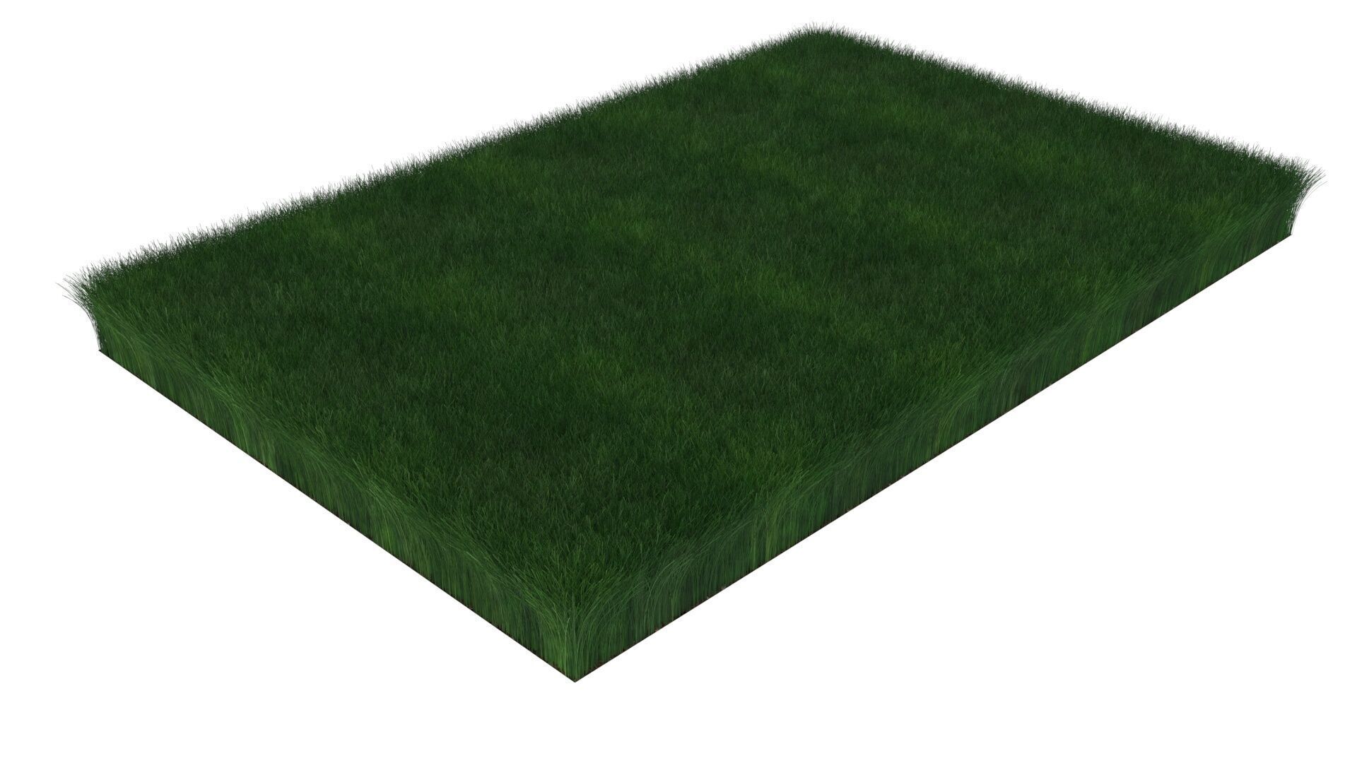 Grass With Growing Animation 3D model_3