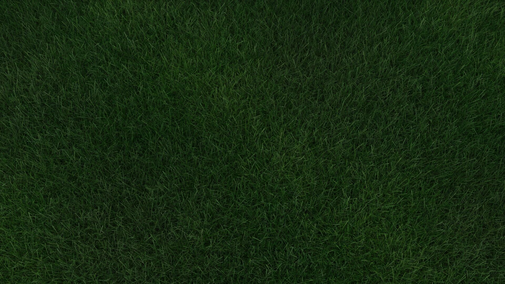 Grass With Growing Animation 3D model_8