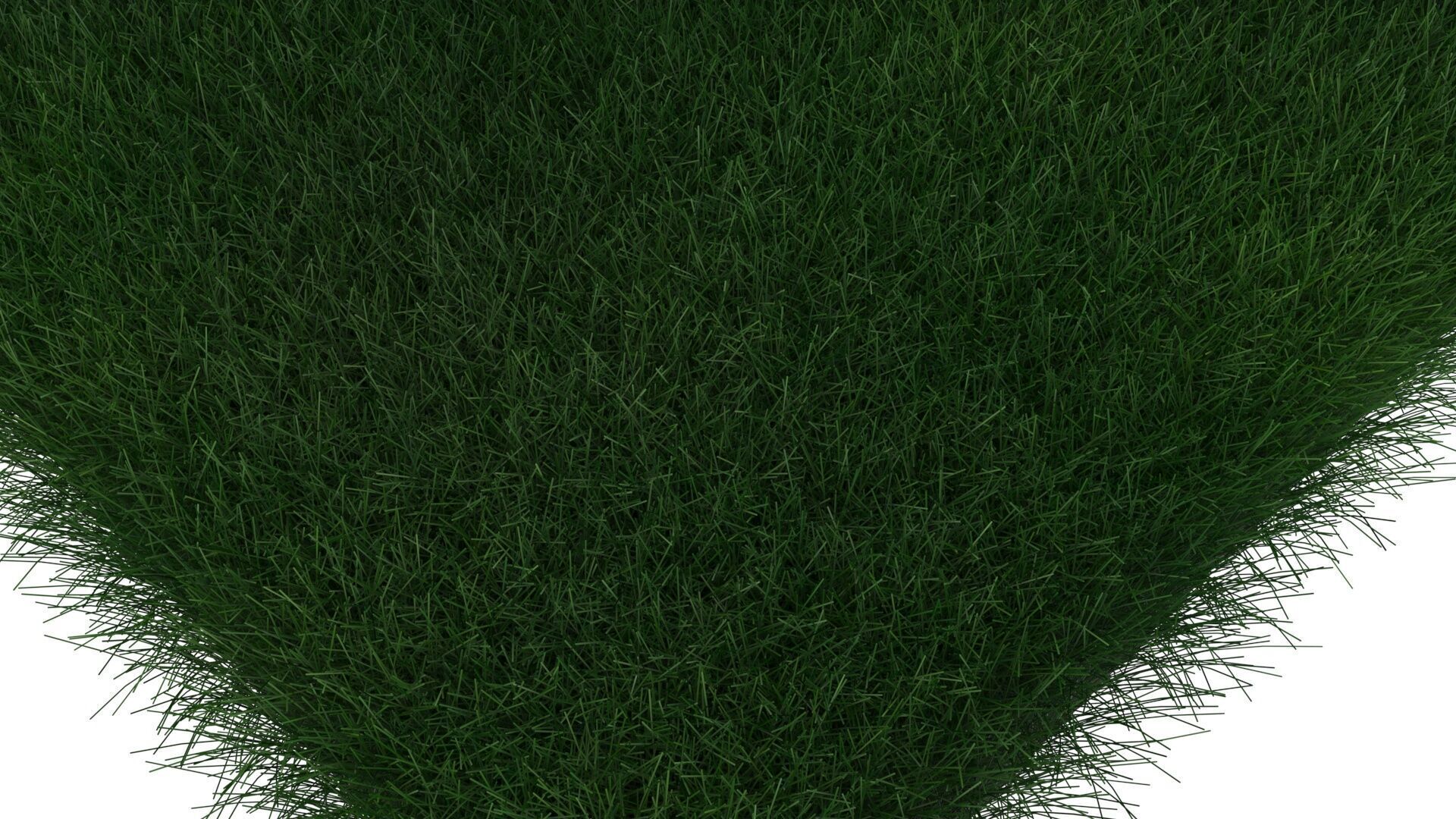 Grass With Growing Animation 3D model_7