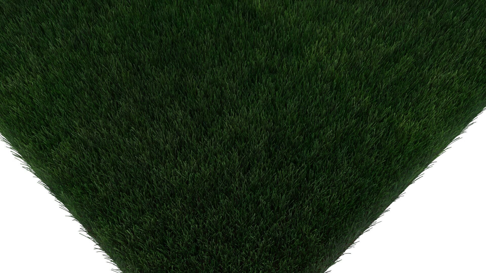 Grass With Growing Animation 3D model_9
