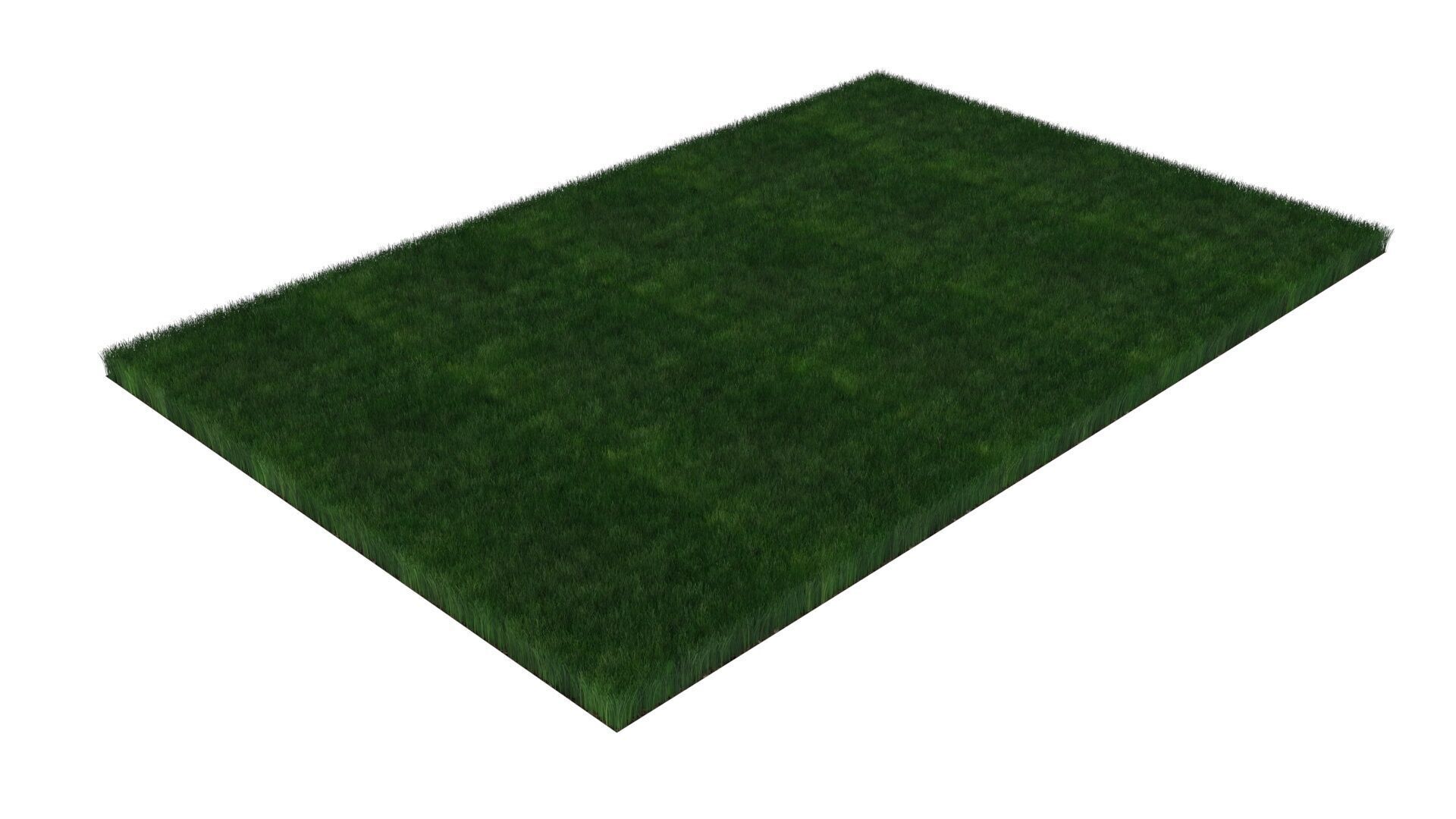 Grass With Growing Animation 3D model_4