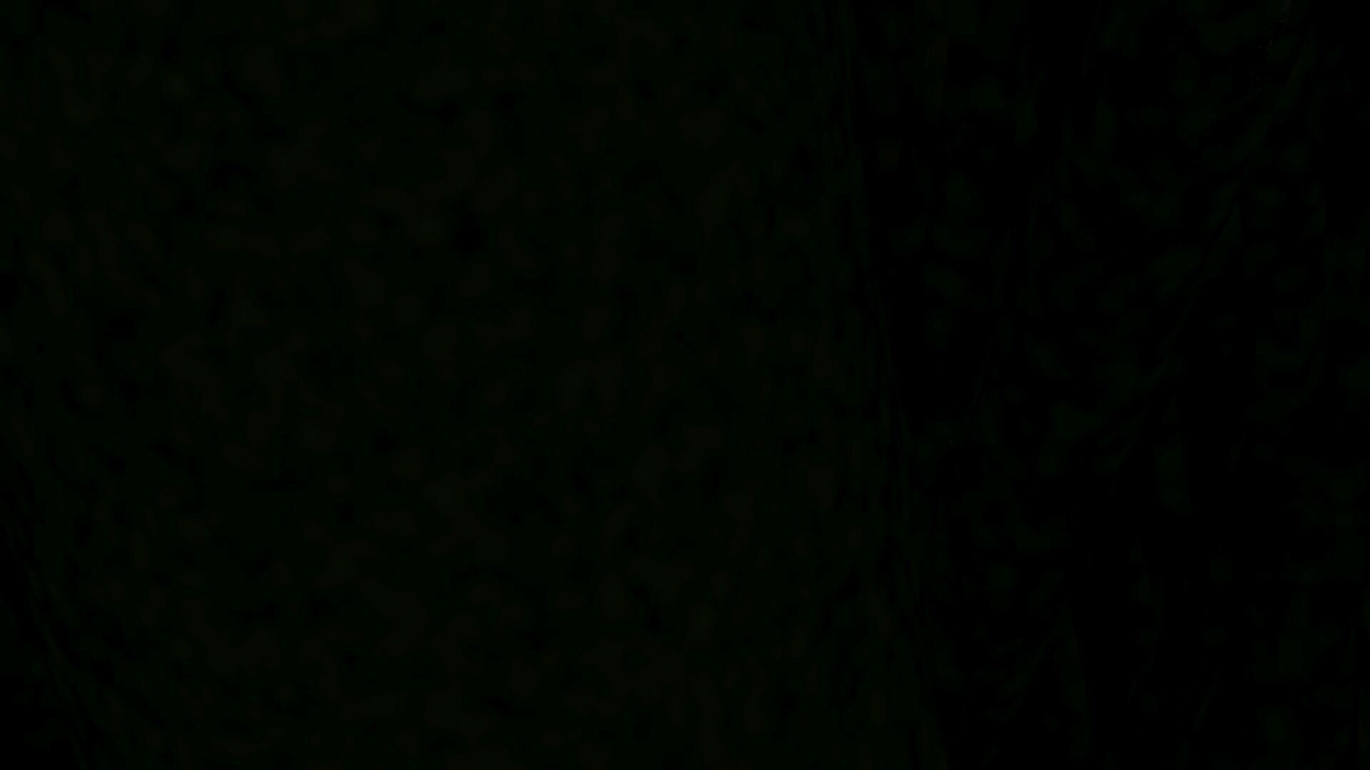 Grass With Growing Animation 3D model_6