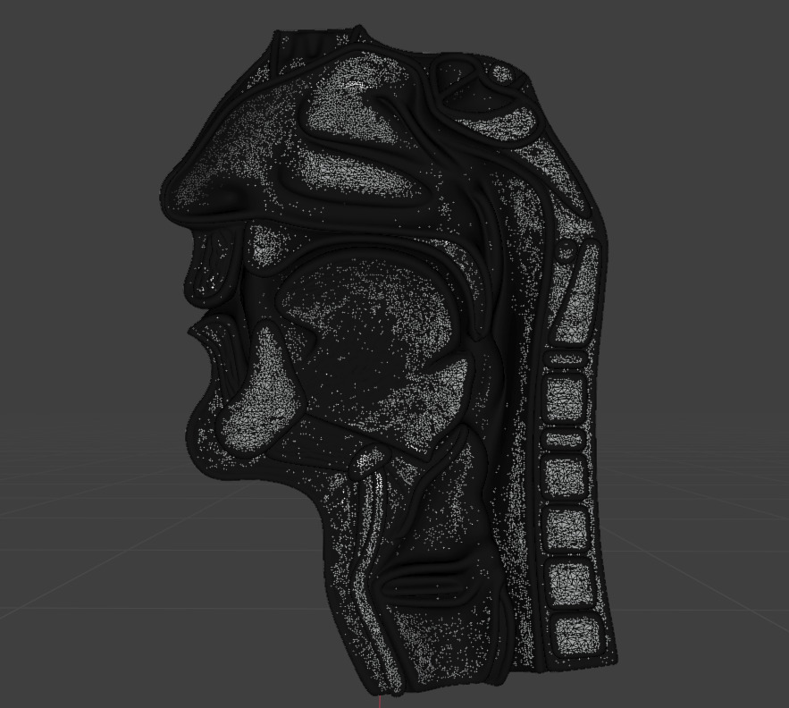 Realistic Human Head Cross-Section Anatomy 3D Medical Model 3D model_4