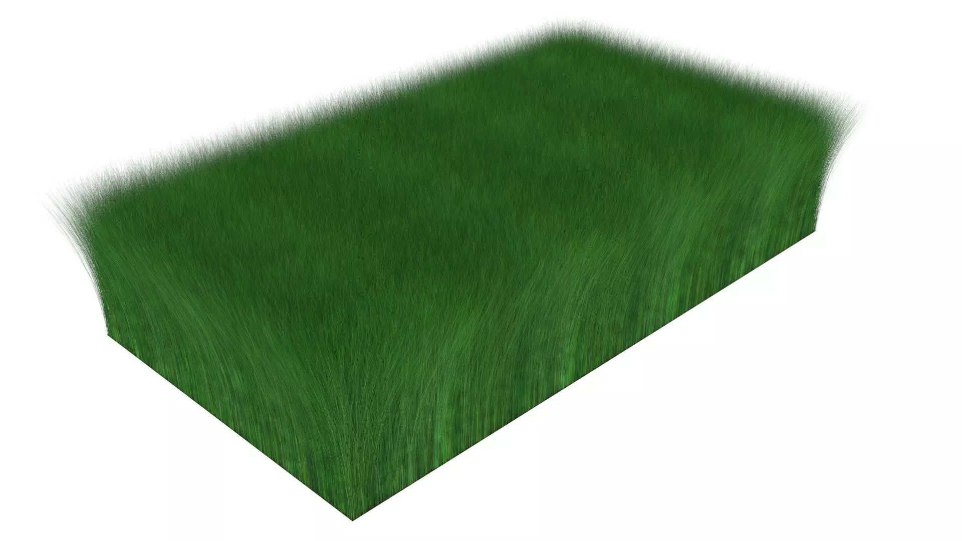 Long Grass 3D model