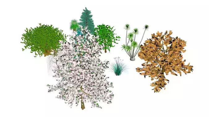 Trees Collection 3D model